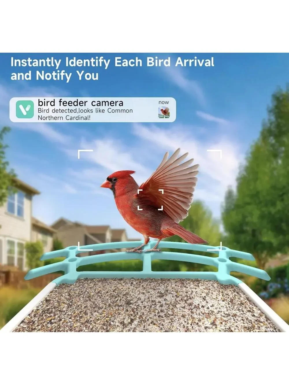 Smart Bird Feeder with Camera, AI Bird Species Identification, 5W Solar Panel